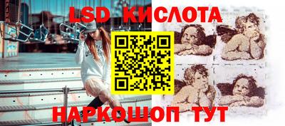 ALPHA PVP Бийск