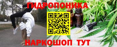 ALPHA PVP Бийск