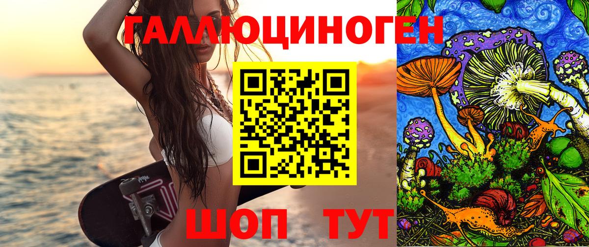 Галлюциногенные грибы Psilocybe  Вход с VPN  Галлюциногенные грибы Psilocybine cubensis  Каменка 